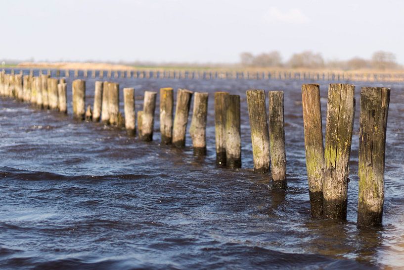 Als een paal boven water by Gert-Jan Kamans