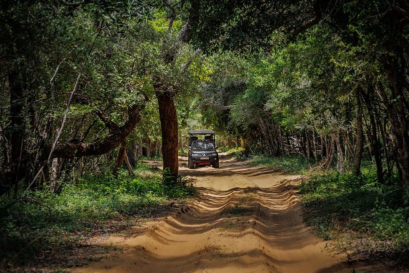Sri Lanka; Insel der Wunder von Patrick Fotografeert