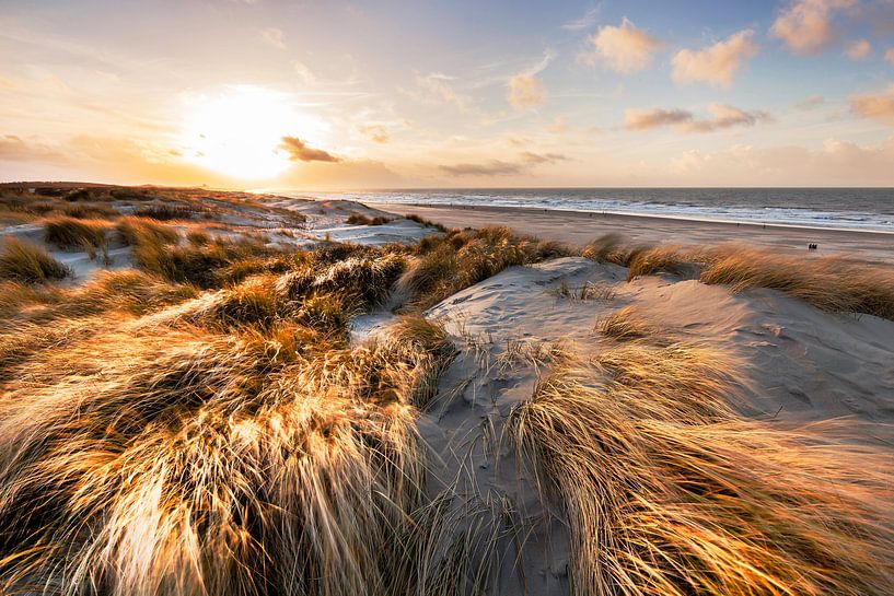 The South-Holland landscape by Eelco de Jong