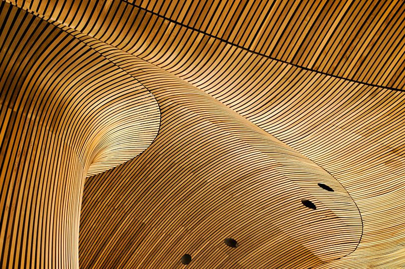 Eens een boom van Linda Wride