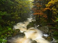 Herbstlicher Bachlauf im Mittelgebirge