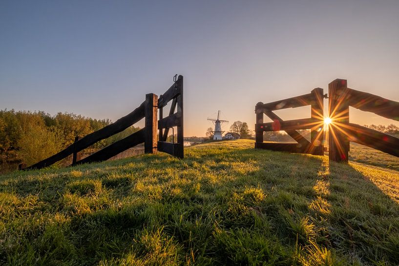 Moulin à papillons par Moetwil en van Dijk - Fotografie