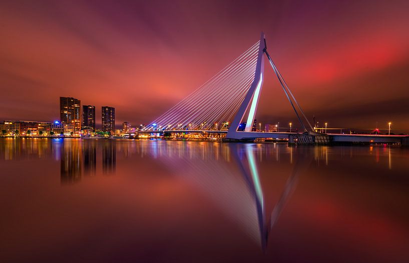 Le Cygne par Georgios Kossieris