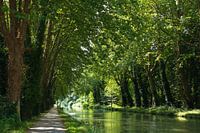 Chemin le long du Canal du Midi