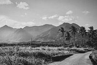 Schwarz-Weiß-Foto Ost-Taiwan.