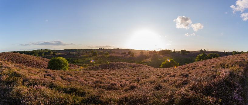 Zonsondergang boven de paarse heide op de Posbank par Stefan van der Wijst