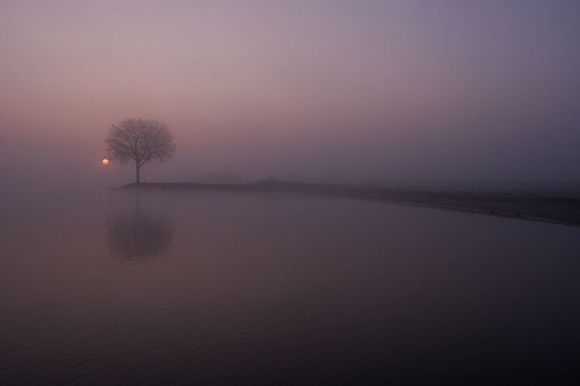Lever de soleil brumeux sur un arbre sur un épi par Moetwil en van Dijk - Fotografie