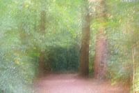 Où ce chemin mène-t-il ? (1)