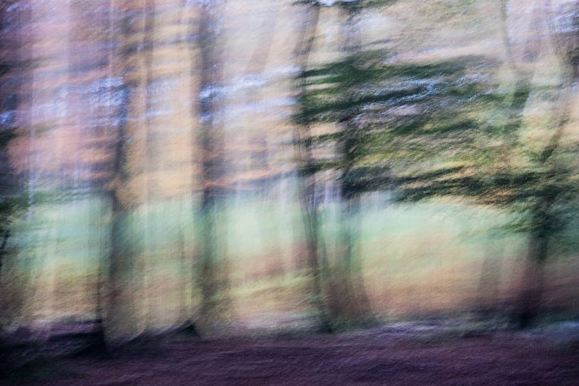 Dansend bos von Boudewijn Swanenburg