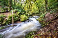 Gorges de la Canche Morvan France