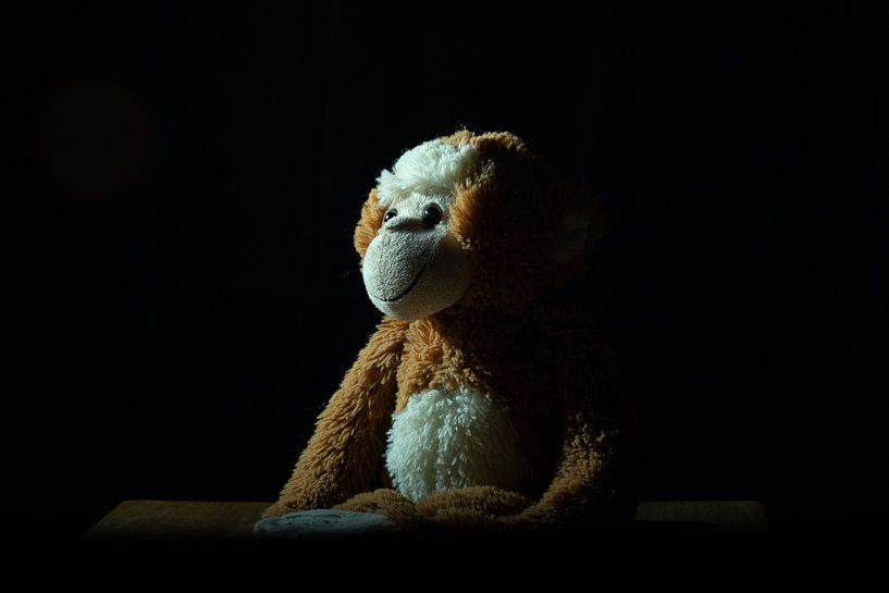 Monkey by Ivo Michielsen