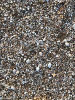 Les pieds dans le sable