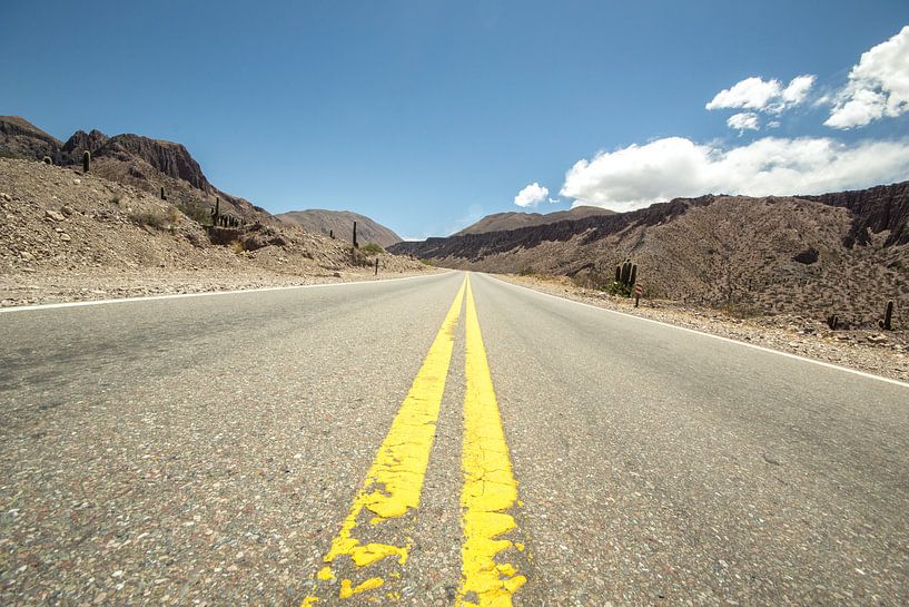  The yellow line by Chantal Nederstigt