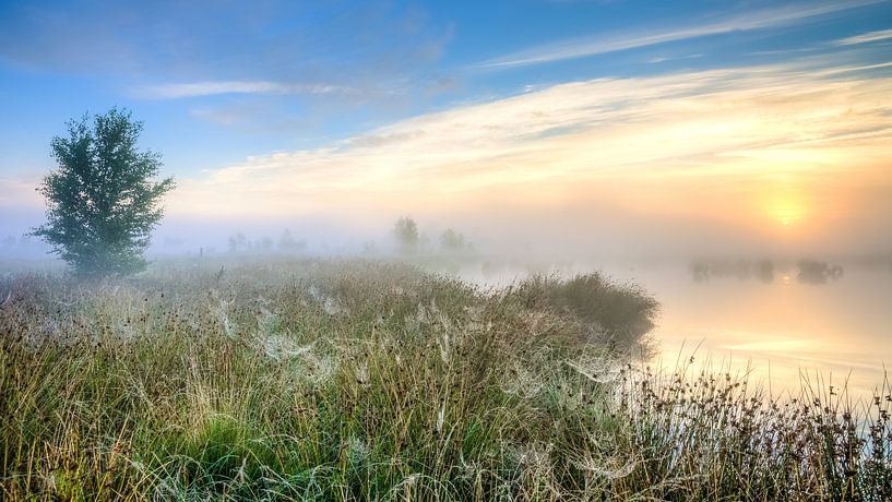 Lever de soleil sur un paysage marécageux par Fotografiecor .nl