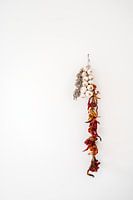 Dried sage, red peppers and fresh garlic