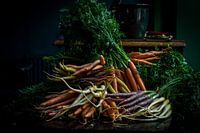 Karotten Stillleben - Pilz Stillleben - Food Fotografie