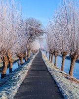Nederlands winterlandschap