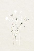 Éléments botaniques en sourdine