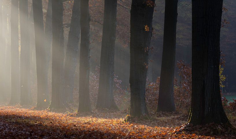 Landgoed Slangenburg, Doetinchem von Natuurlijk Achterhoek