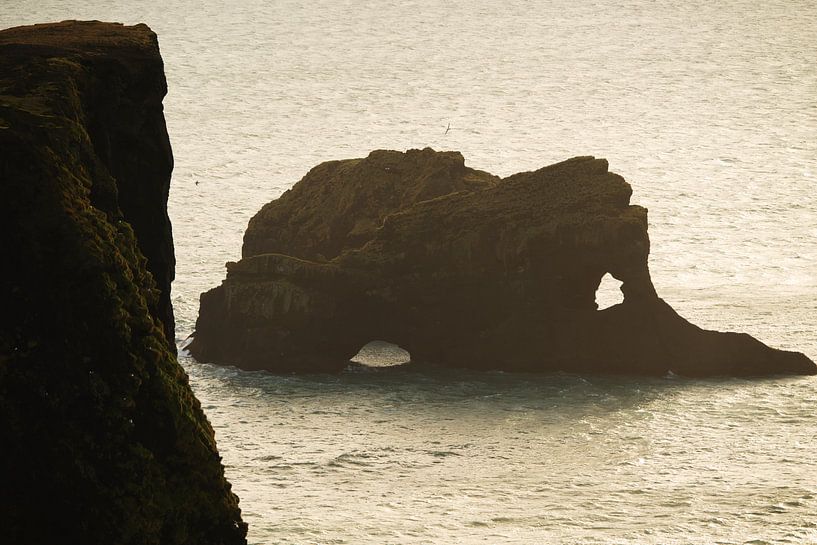 Iceland, Rock in Sea with petrels by Caroline Guerain