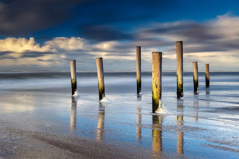 Palendorp Petten von Pim Leijen