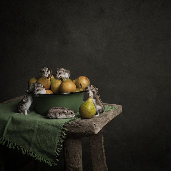 hamster by Mariska Vereijken