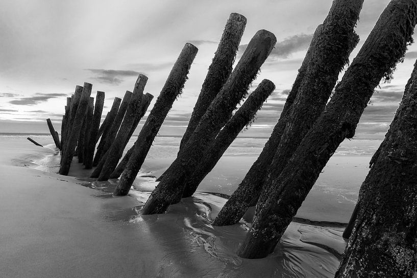 Wellenbrecher von Felix Sedney