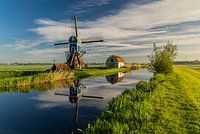 Morning light at the Blauwe Wip windmill