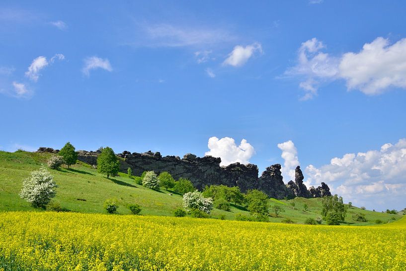 Teufelsmauer im Harz von Karin Jähne