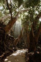 The magic of nature on the island of Nusa Penida Indonesia