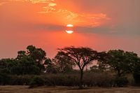 Afrikanischer Sonnenuntergang