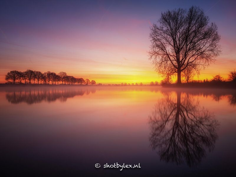 Le long de la Meuse #5 par Lex Schulte