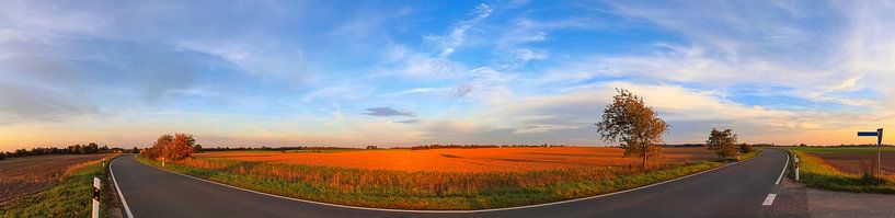 Panorama einer schönen norddeutschen Landschaft mit Pfaden und Straßen von MPfoto71