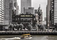 Holland America Line