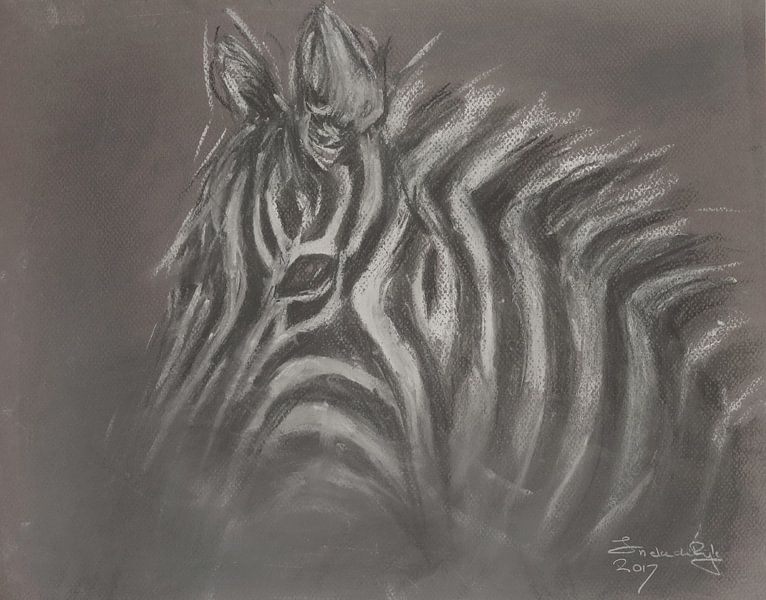 African zebra drawn with pastel crayon . by Ineke de Rijk