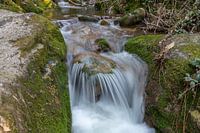 Kleiner Wasserfall im Wald