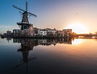 Die Haarlemer Symbolmühle