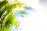 daytrails - abstracte kunst - bomen - zon - groen