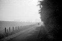Cyclist in morning fog