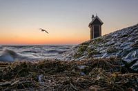 Zonsopkomst haven Volendam