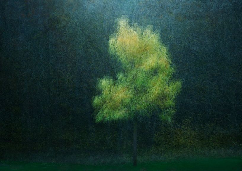 Yellowing by Katarina Holmström