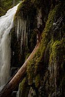 bevroren waterval met ijspegels en mos