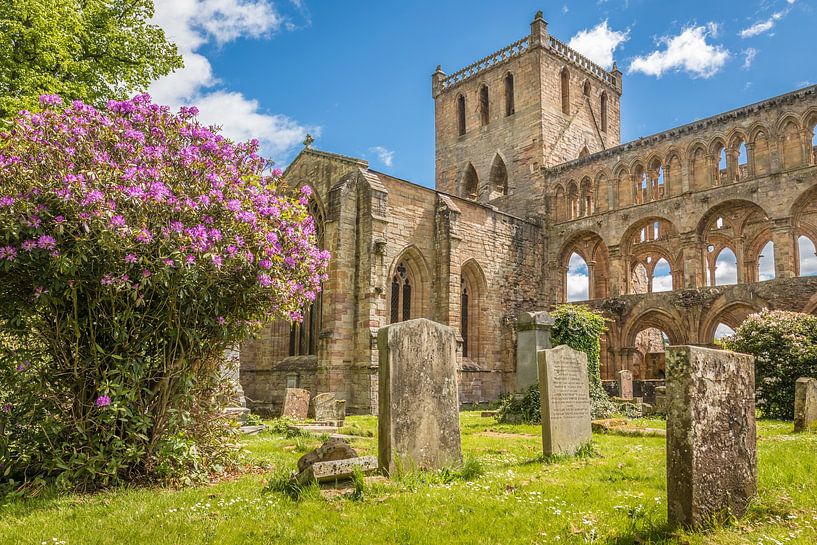 Ruin of Jedburgh Abbey Monastery, Jedburgh by Christian Müringer