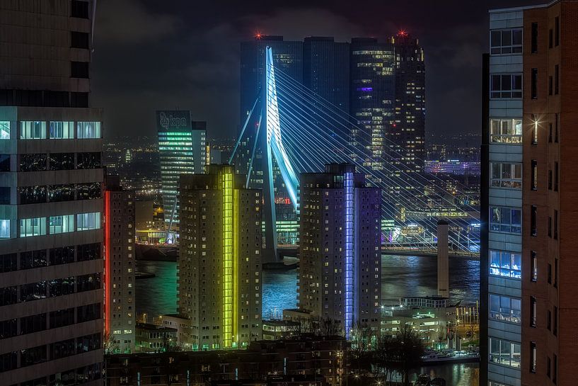 I see you Erasmusbrug von Roy Poots