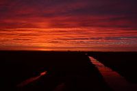 Lever de soleil près de Visvliet, Groningue, Pays-Bas. Fait par un froid matin de janvier.