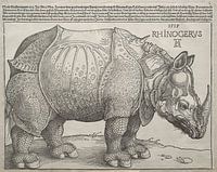 Le rhinocéros, Albrecht Dürer