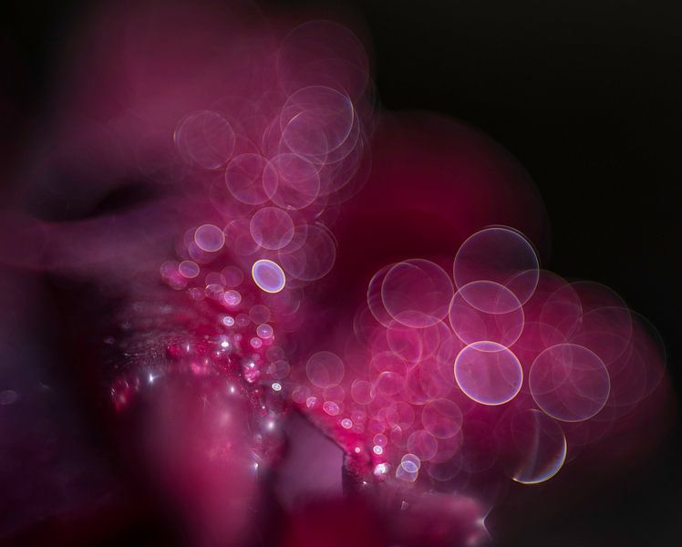 Résumé par Tineke van Persie-Klein