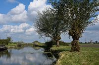 Een landschap binnen ons platteland