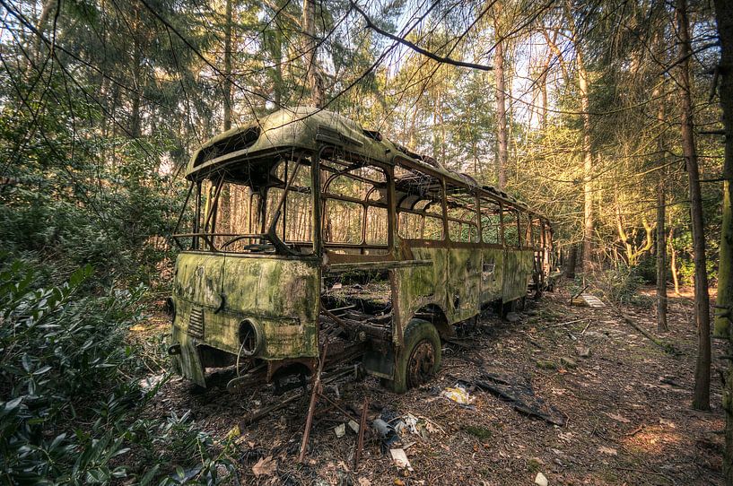 Urbex - Jungle bus by Angelique Brunas