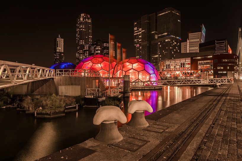 Rijnhaven von Peter Dane